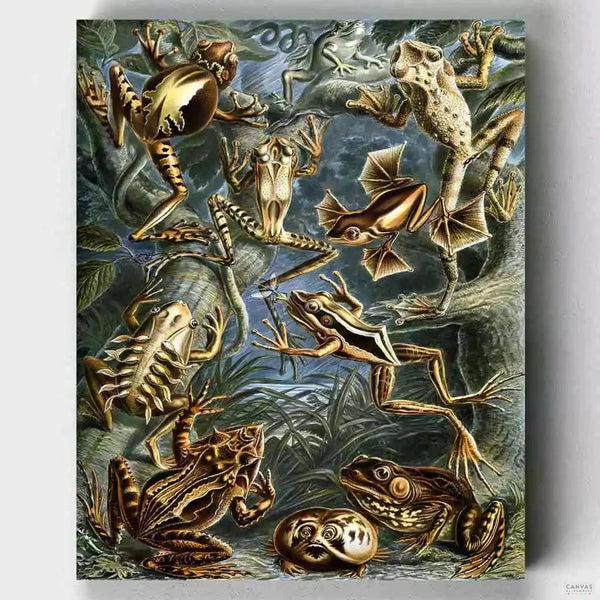 Batrachia- Pintar por Números- Canvas by Numbers