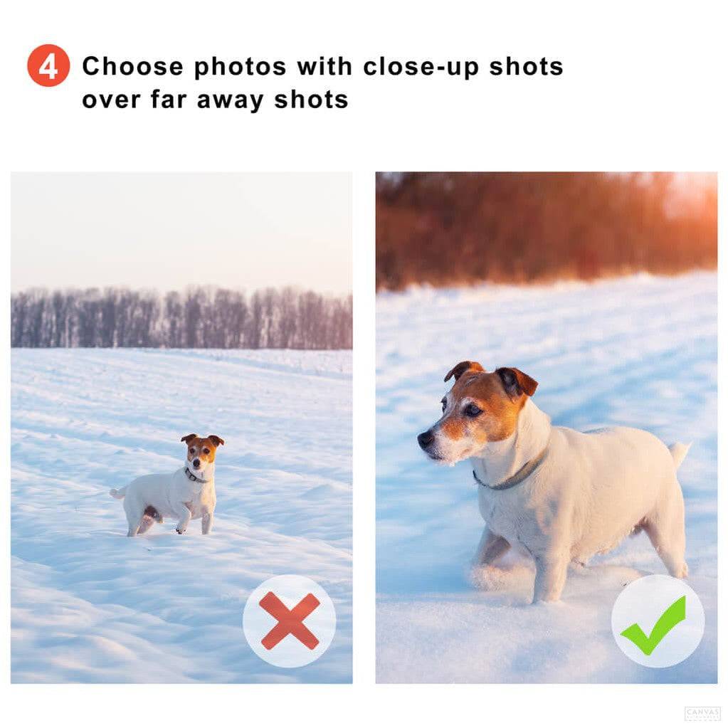 Pintar por Números Personalizado - Cuadro Personalizado con Foto- Pintar por Números- Canvas by Numbers