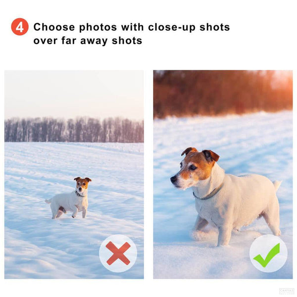 Pintar por Números Personalizado - Cuadro Personalizado con Foto- Pintar por Números- Canvas by Numbers