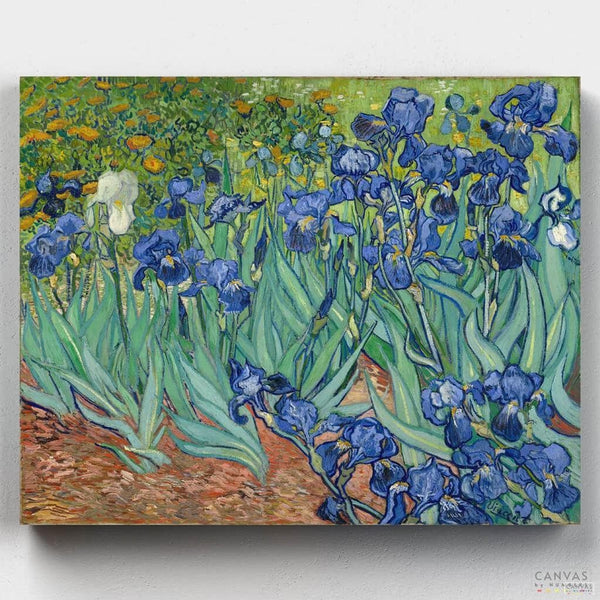 Lirios- Pintar por Números- Canvas by Numbers