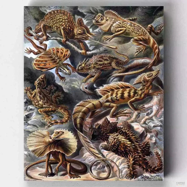 Lacertilia- Pintar por Números- Canvas by Numbers
