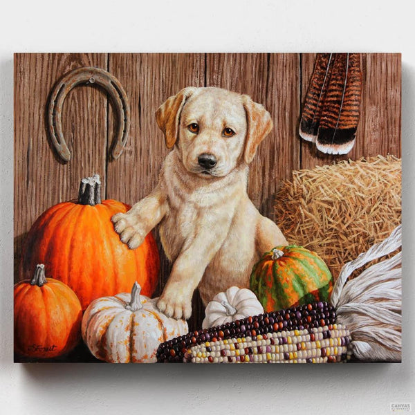 Calabaza y Cachorro- Pintar por Números- Canvas by Numbers