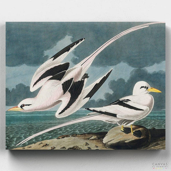 Pájaros Tropicales- Pintar por Números- Canvas by Numbers