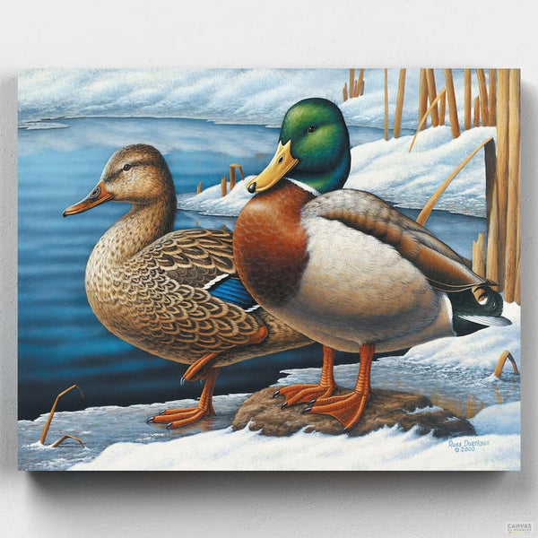 Patos de Invierno- Pintar por Números- Canvas by Numbers