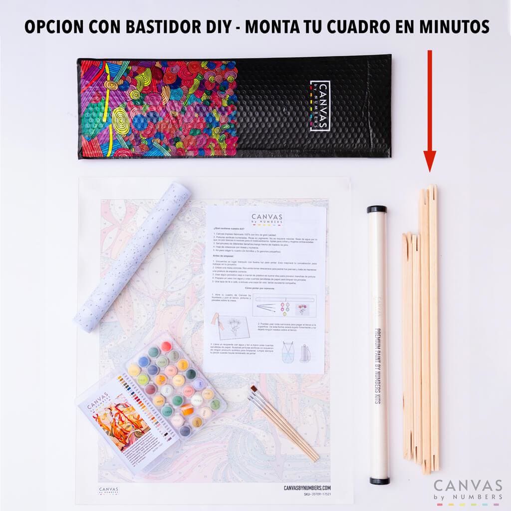 Loro Feliz- Pintar por Números- Canvas by Numbers