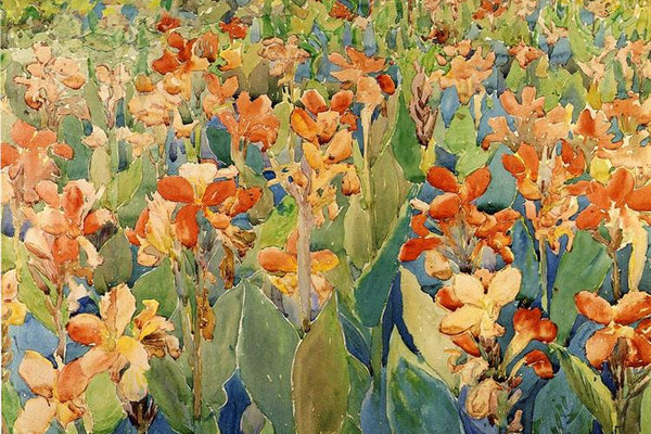 Bed of Flowers (also known as Cannas or The Garden), Maurice Pendregast