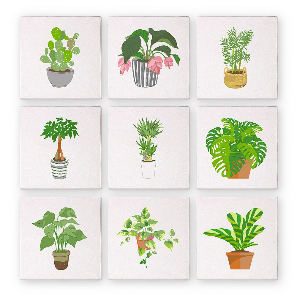 Colección de Plantas de Interior - Mini Kit Pintar por Números