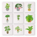 Colección de Plantas de Interior - Mini Kit Pintar por Números