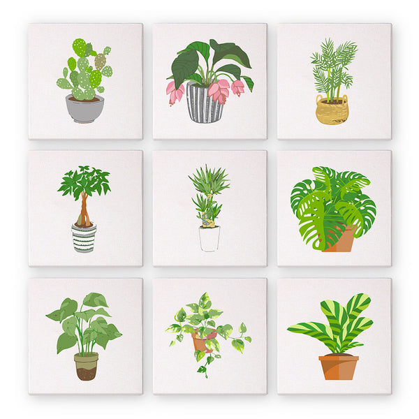 Colección de Plantas de Interior - Mini Kit Pintar por Números
