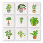 Colección de Plantas de Interior - Mini Kit Pintar por Números