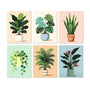 Rincón de Plantas - Mini Kit Pintar por Números