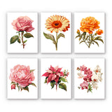 Flores de Jardín - Mini Kit Pintar por Números