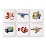 Criaturas Marinas - Mini Kit Pintar por Números