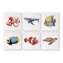 Criaturas Marinas - Mini Kit Pintar por Números