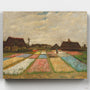 Macizos de Flores- Pintar por Números- Canvas by Numbers