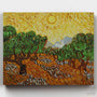 Olivos- Pintar por Números- Canvas by Numbers