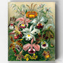 Orchidae- Pintar por Números- Canvas by Numbers