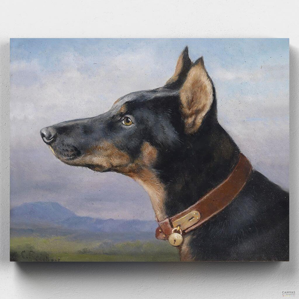 Doberman - Pintar por Números- Pintar por Números- Canvas by Numbers