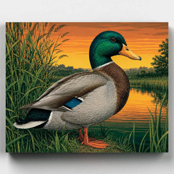 Ánade Real al Atardecer - Kit Pintar por Números
