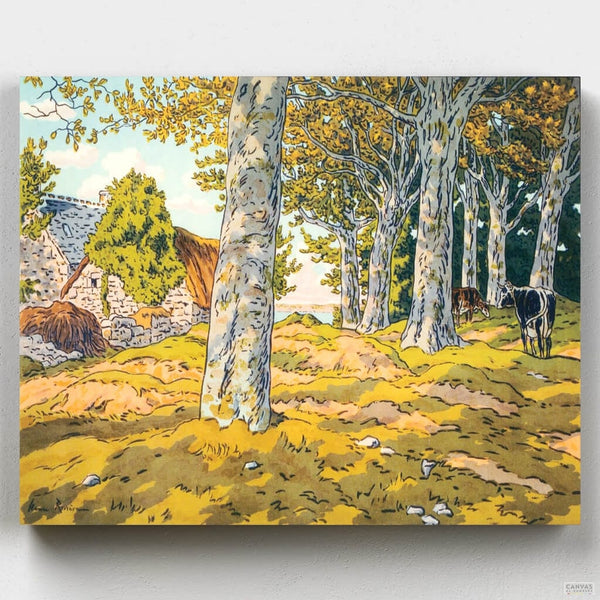 Bosque de Hayas en Kerzardem - Pintar por Números- Pintar por Números- Canvas by Numbers