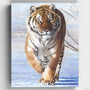 Tigre Salvaje- Pintar por Números- Canvas by Numbers