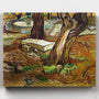 Banco de Piedra en el Asilo de Saint Remy- Pintar por Números- Canvas by Numbers