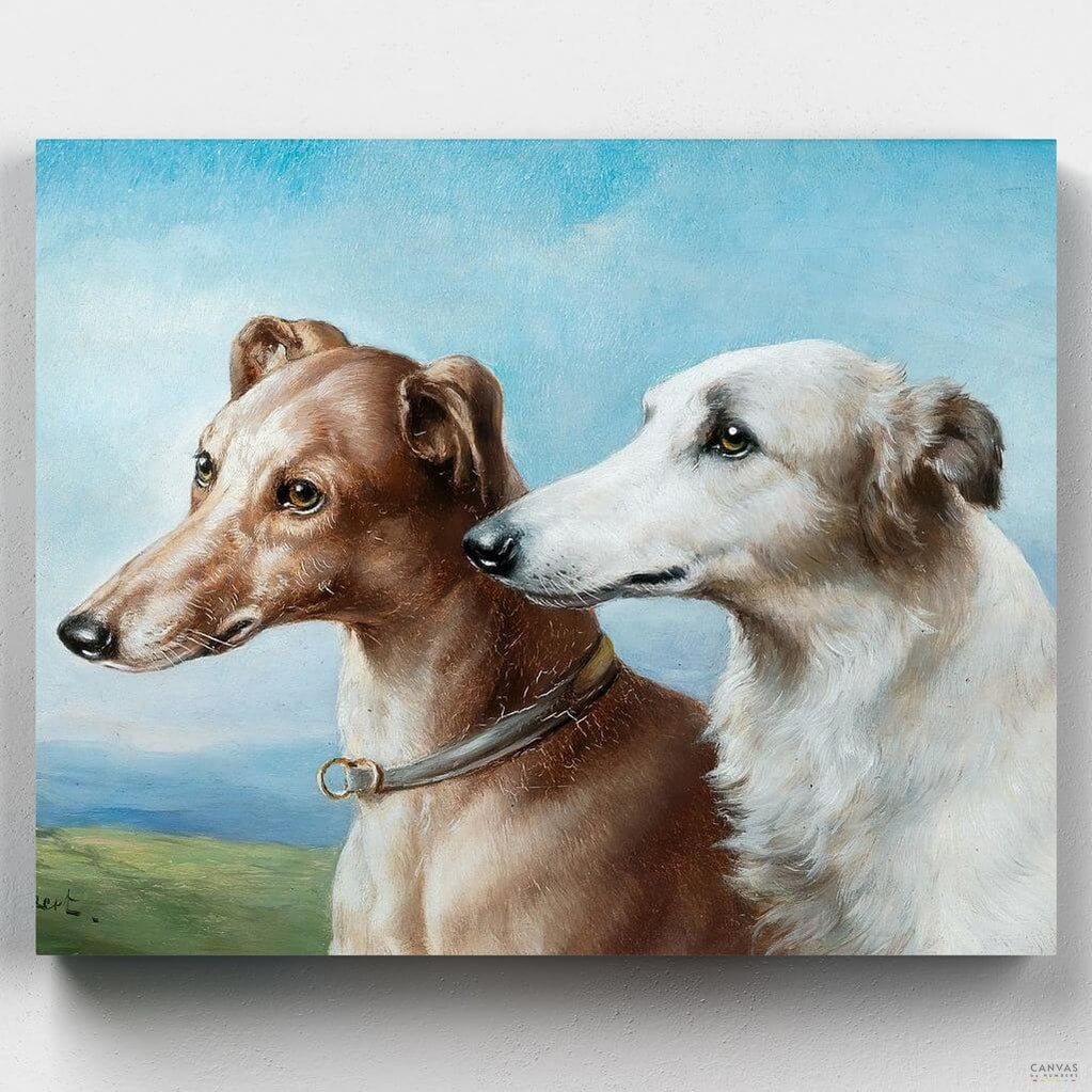 Dos Galgos - Pintar por Números- Pintar por Números- Canvas by Numbers