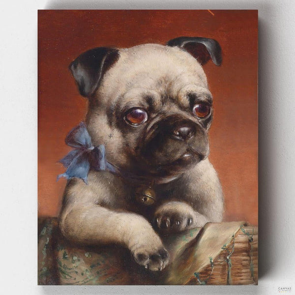 Young Pug Painting by Numbers-Channel your inner artist with Canvas by Numbers! The Young Pug Painting by Numbers kit is your ticket to recreate Reichert's adorable pug portrait. Buy now!-Canvas by Numbers