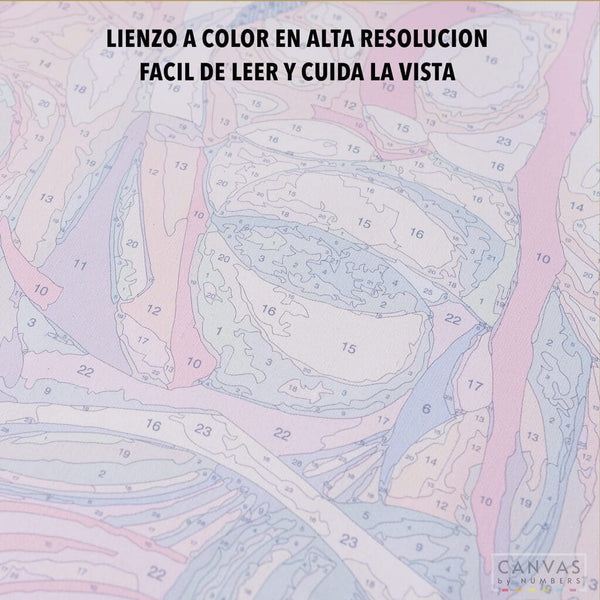 La Ballena y el Tesoro- Pintar por Números- Canvas by Numbers
